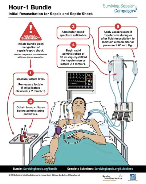 Each year in the U. . What is the normal cardiovascular response to early sepsis